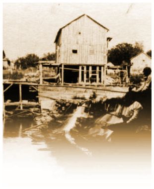 The Old Flouring Mill