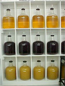 secondary_fermenters_5_small
